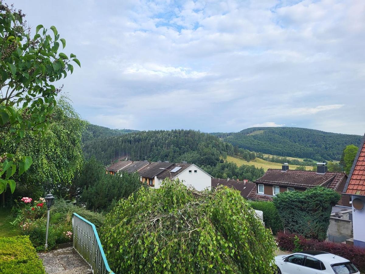Ferienwohnung Birkenstuebchen Lautenthal Exterior foto