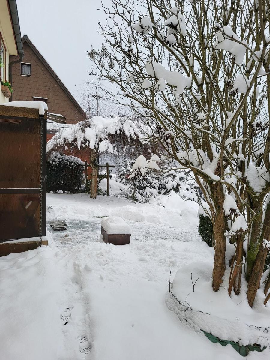 Ferienwohnung Birkenstuebchen Lautenthal Exterior foto